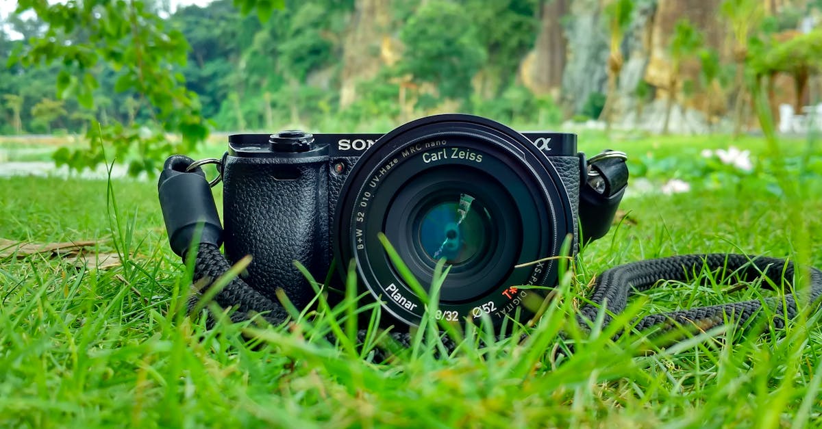 Camera with Carl Zeiss lens on grass, surrounded by nature and vibrant greenery.